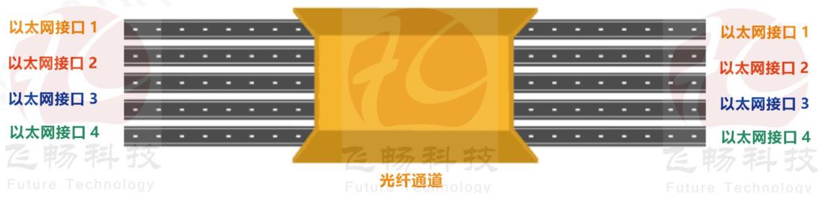 物理隔离网络黄桃视频APP在线看污