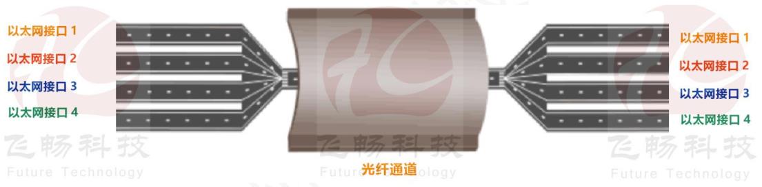 逻辑隔离网络黄桃视频APP在线看污