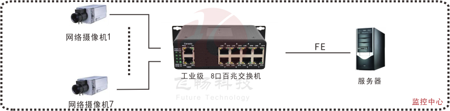 Web managemrnt 8 port FE switch