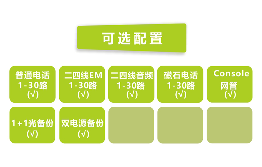 黄桃视频APP在线看黄科技-30路电话 E1复用 (1U 机架式)